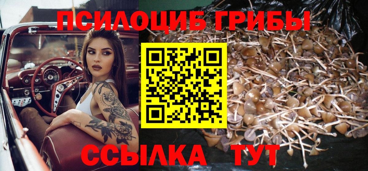 Псилоцибиновые грибы Magic Shrooms Дмитров