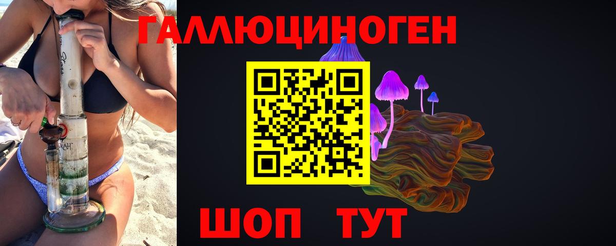 Галлюциногенные грибы GOLDEN TEACHER  Галлюциногенные грибы Psilocybine cubensis  Вход с VPN  Дмитров 